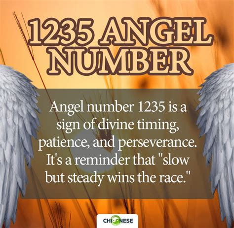 1235 angel number meaning|ANGEL NUMBERS